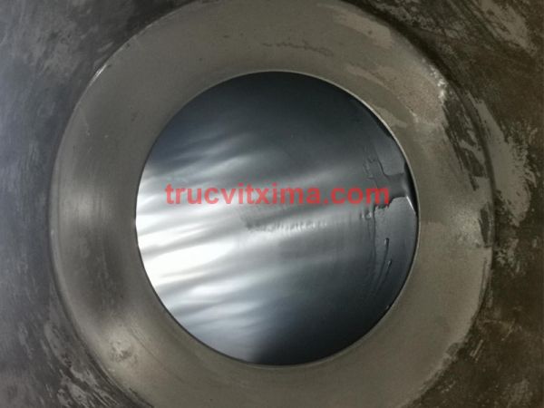 Trục vít xi mạ 08